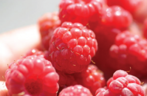 15 Snacks Under 100 Calories