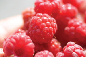 15 Snacks Under 100 Calories